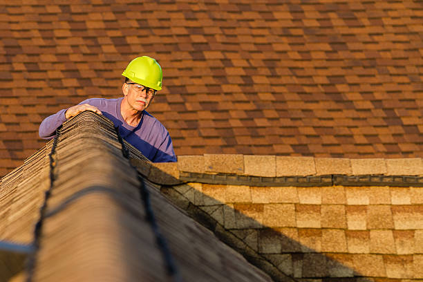 Best Emergency Roof Repair  in South Haven, MI