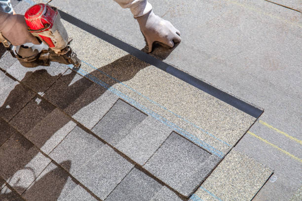 Best Roof Waterproofing Services  in South Haven, MI