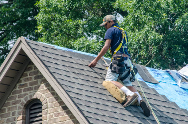 Best Roof Leak Repair  in South Haven, MI